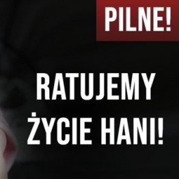 #GaszynChallenge Pomagamy Hani